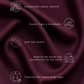 BreezeFlow Maroon Pants 2.0